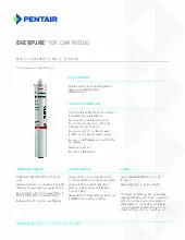 everpure-ev960703-water-filtration-system-cartridge-specsheet-251119vtjsvv.pdf