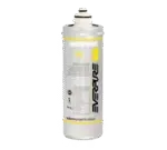 Everpure EV960112, Water Filtration System, Cartridge