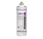 Everpure EV961706, Water Filtration System, Cartridge