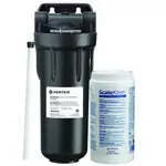 Everpure EV979720, Water Filtration System, for Steam Equipment