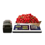 Penn Scale CM101-1RS232, Scale, Price Computing